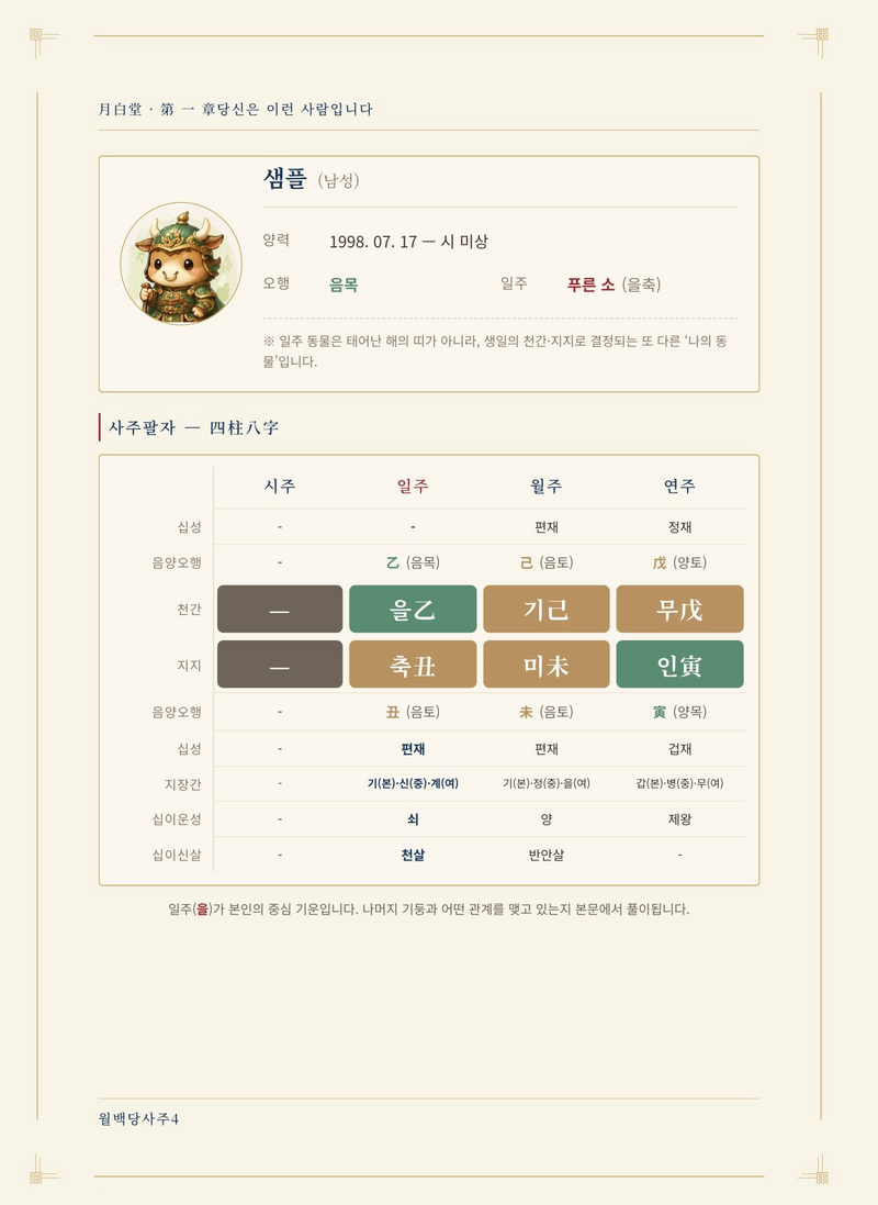 샘플 리포트 - 사주팔자 명식